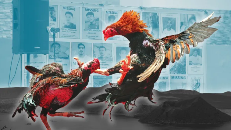 Bí Kíp Săn Thưởng Khi Tìm Hiểu Cách Chơi Đá Gà Sabong Tại Vibet88