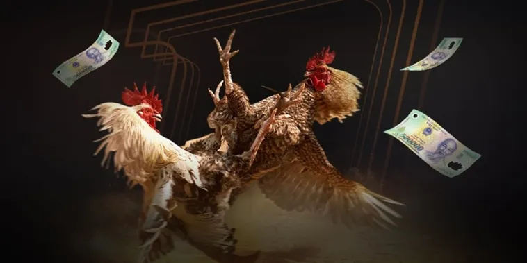 Trải Nghiệm Đá Gà Vibet88 Đỉnh Cao Với Tỷ Lệ Cược Thomo Hấp Dẫn Nhất