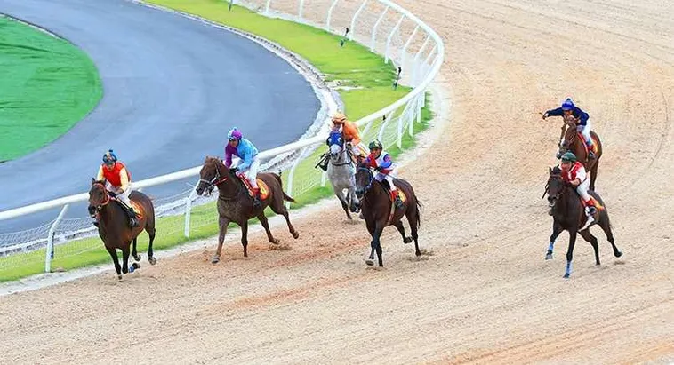 Kinh Nghiệm Tìm Hiểu Cá Cược Đua Ngựa Vibet88 Chính Xác Cho Cược Thủ